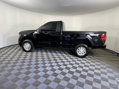 2025 Ford F-150 XL