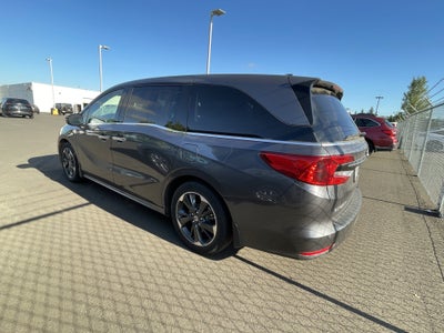 2023 Honda Odyssey Elite