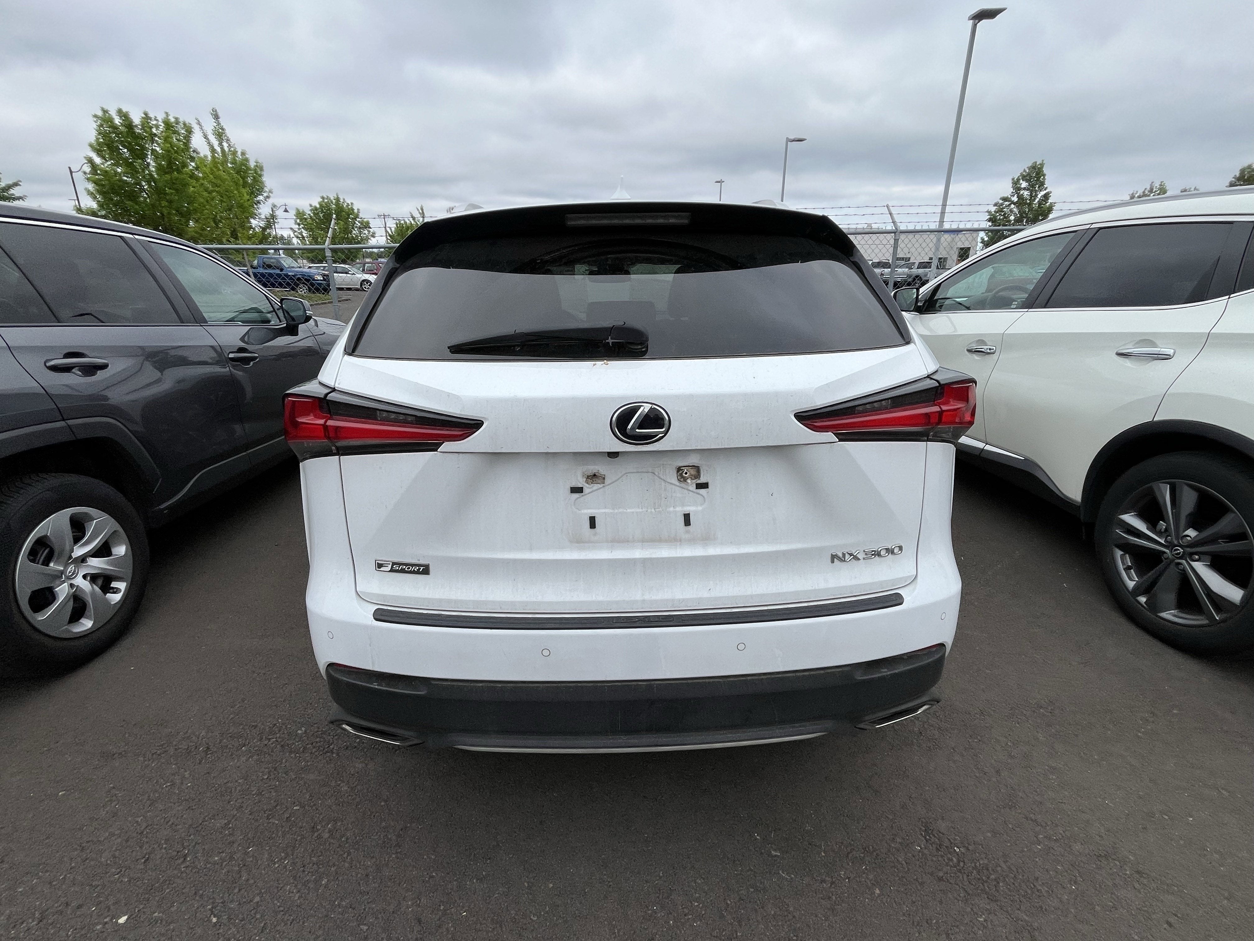 2020 Lexus NX NX 300 F SPORT