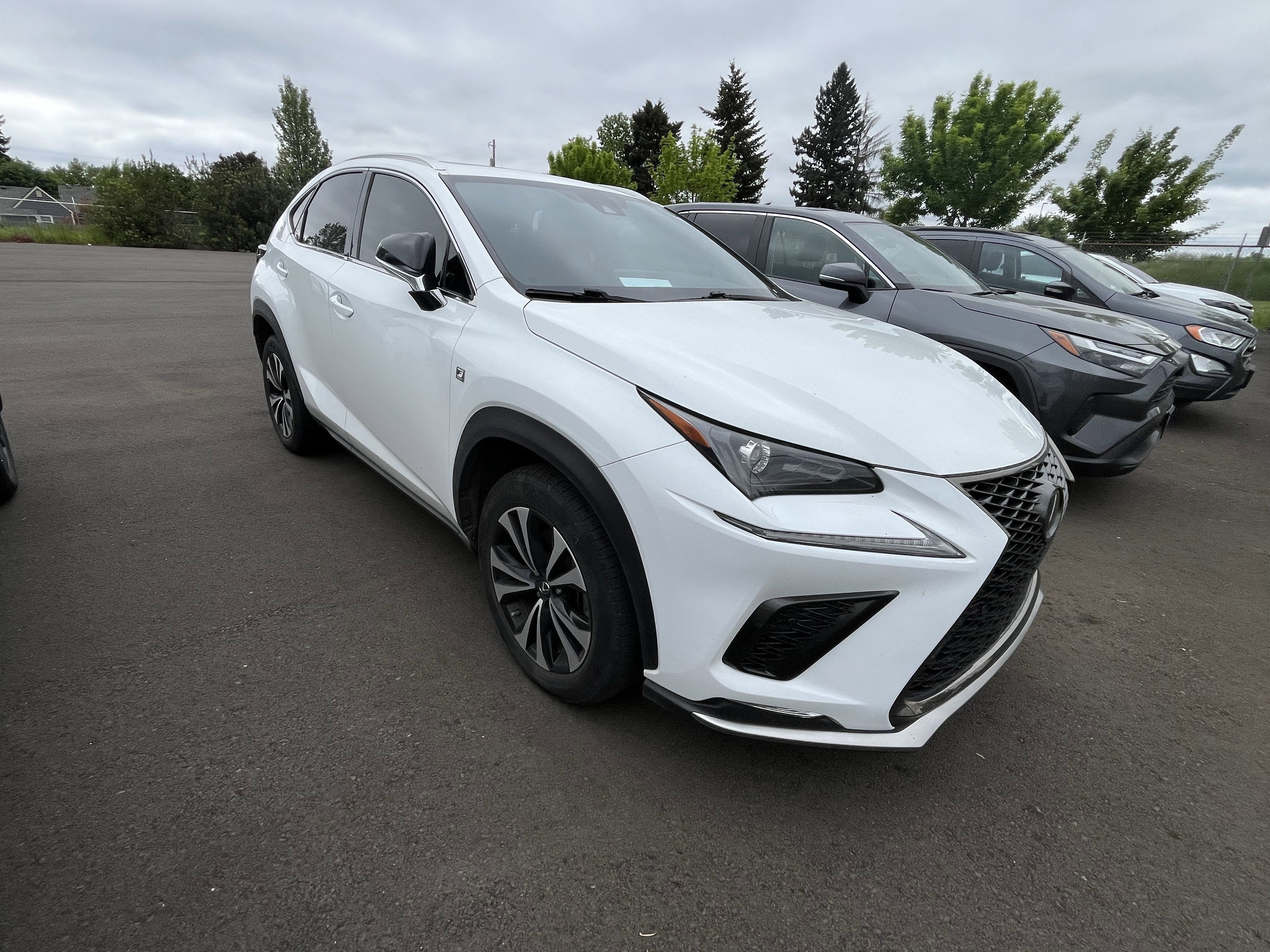2020 Lexus NX NX 300 F SPORT