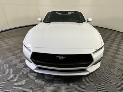 2026 Ford Mustang EcoBoost Coupe Fastback
