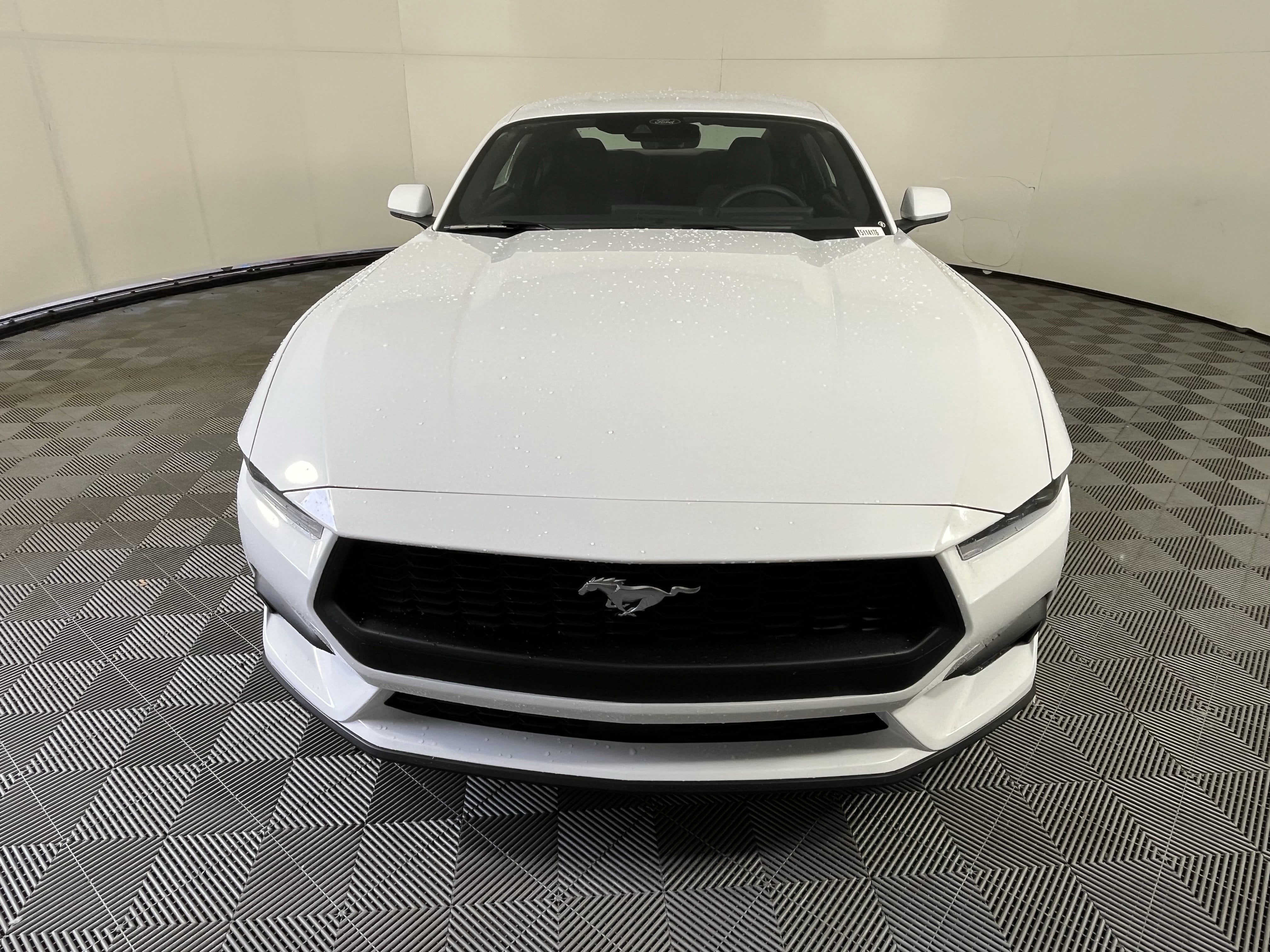 2026 Ford Mustang EcoBoost Coupe Fastback