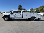2026 Ford Super Duty F-550 DRW XL 4WD Crew Cab 179 WB 84 CA