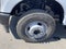 2026 Ford Super Duty F-350 DRW XL 4WD Crew Cab 179 WB 60 CA