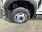 2026 Ford Super Duty F-550 DRW XL 4WD Crew Cab 203 WB 84 CA