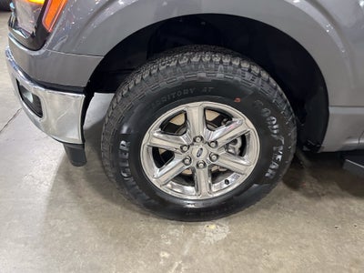 2025 Ford F-150 XLT